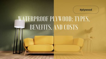 The Comprehensive Guide to Waterproof Plywood: Types, Benefits, and Costs