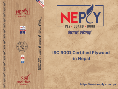 The Ultimate Guide to Plywood Prices in Nepal: Discovering Neply Plywood and More