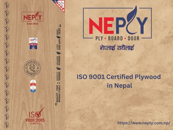 Neply plywood sheet